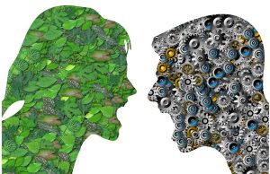 Top 7 Ways to Win Through Conflict