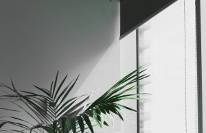 Training Employees Online