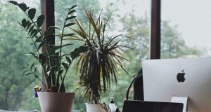 Five Steps to Manage & Resolve Conflict in the Workplace