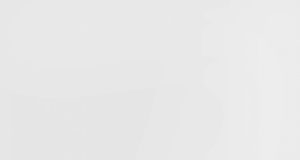 Harmful Bugs To Development: Poor Attitudes Towards Work