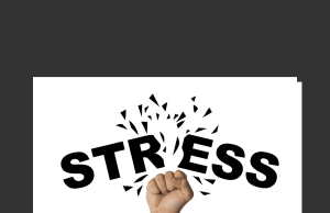 Managing Stress and Anxiety with a Scout: Finding Balance and Building Resilience