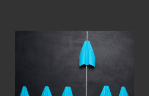 Why the Mentoring Gap is Widening—And Why You Need a Scout