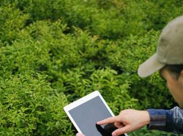 Digitally Empowered Workers