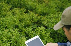 The New Face of Industrial Action: Digital Strikes and Online Worker Mobilization Digitally Empowered Workers