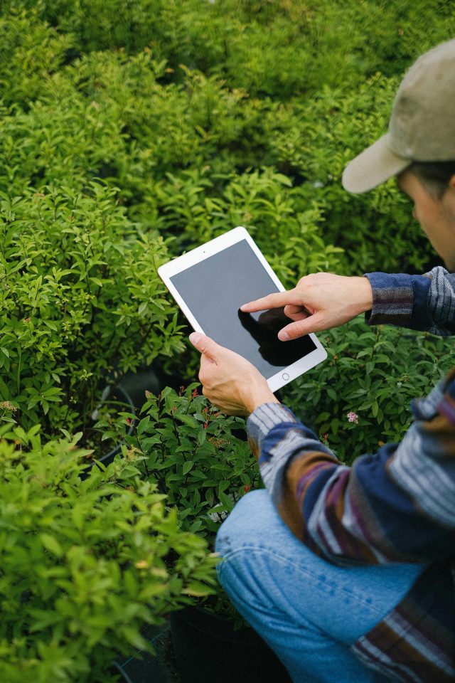 Digitally Empowered Workers