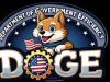 DOGE: A Step Forward or a Missed Opportunity? A HAPI Perspective on Government Efficiency