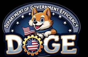 DOGE: A Step Forward or a Missed Opportunity? A HAPI Perspective on Government Efficiency