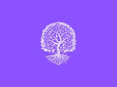 Abundance as a Strategy: Creating Spaces of Growth, Resilience, and Opportunity