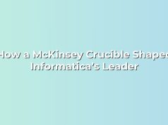 How a McKinsey Crucible Shaped Informatica’s Leader